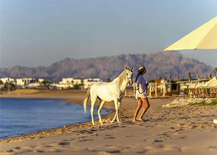 Rixos Premium Magawish And Szálloda Gurdaka